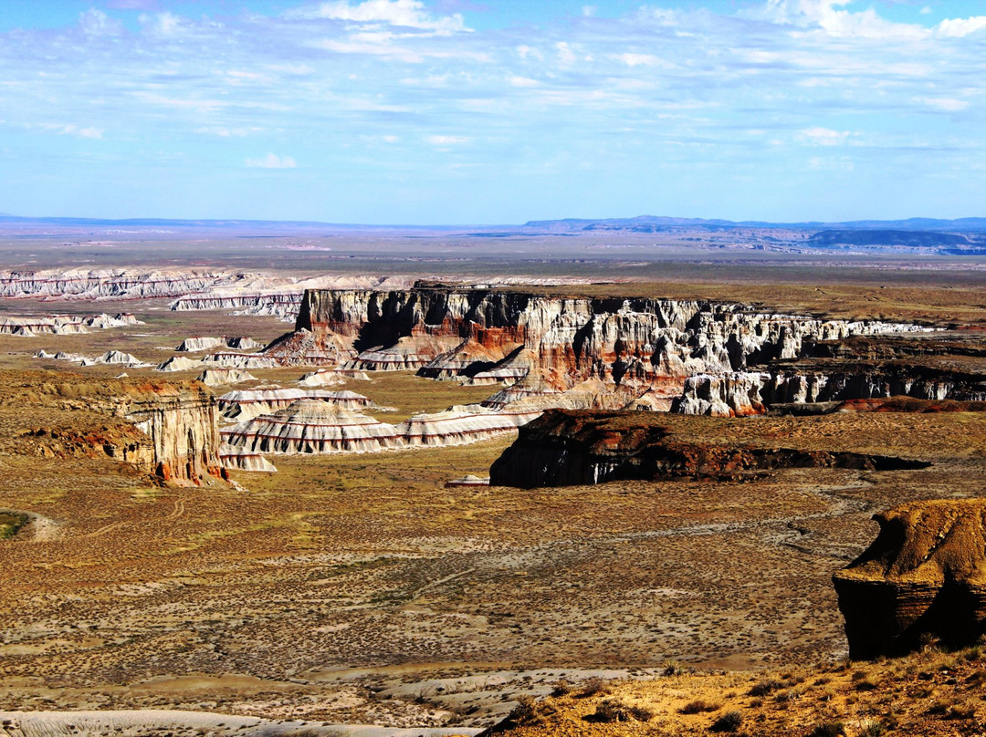 Experience Hopi Tours景点图片