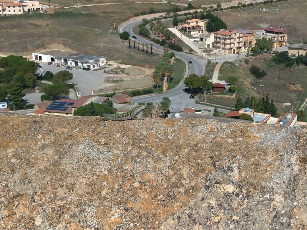 Terrazzo Belvedere o Calvario景点图片