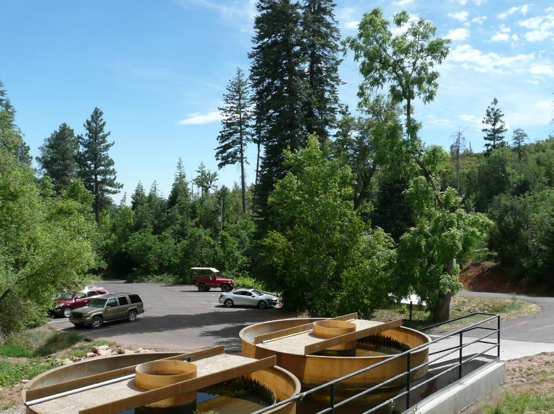 Payson旅游景点-Tonto Creek Fish Hatchery