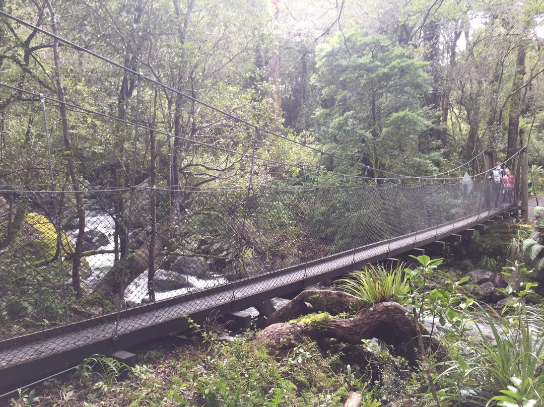 Powell Hut & Mount Holdsworth Track景点图片