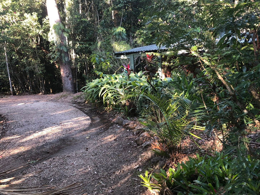 细得公园雨林度假村主图