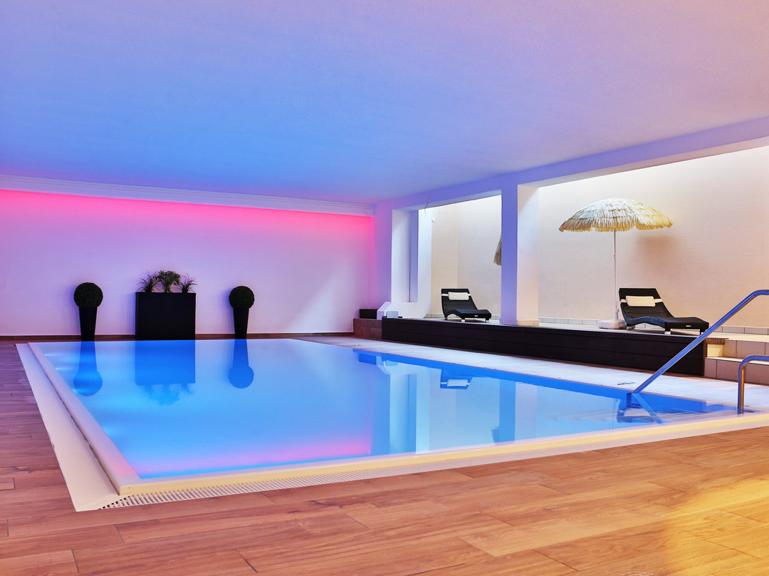 Airport Hotel zum Loewen主图