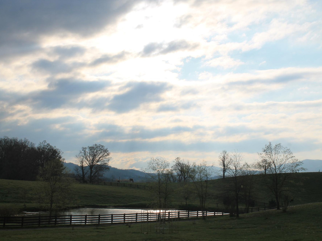 克里斯琴斯堡旅游景点-Sinkland Farms