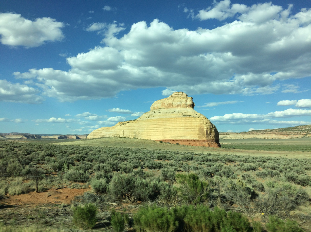 Monticello旅游攻略图片