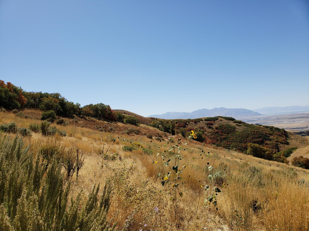 Wild Rose Trailhead Park景点图片