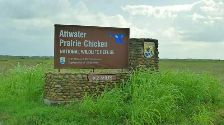 Attwater Prairie Chicken National Wildlife Refuge景点图片