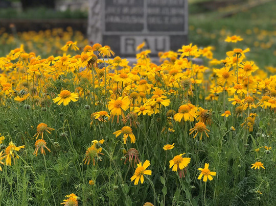 Pioneer Rest Cemetery