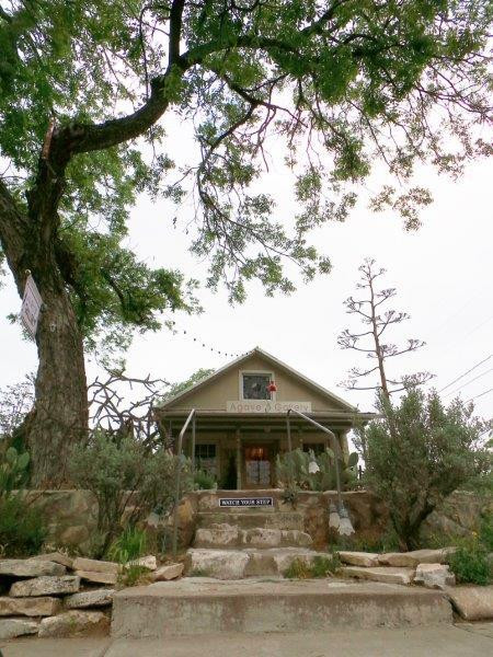 Agave Gallery Fine Art-弗雷德里克斯堡必去景点