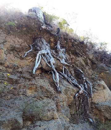 Madeiralimo-沙尔必去景点