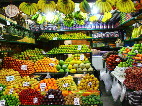 Real City Tours-麦德林必去景点