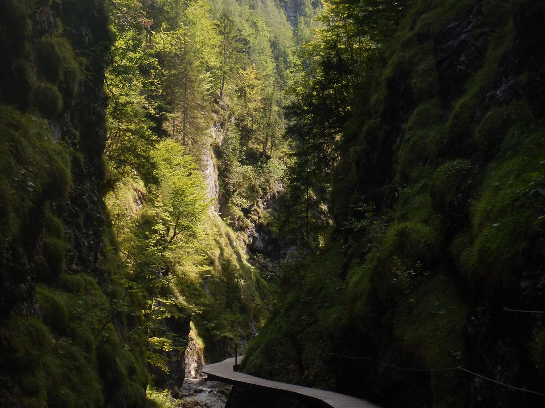 Griesbachklamm-Erpfendorf必去景点