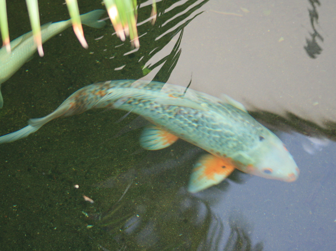 El Palma Guest House主图