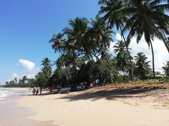 Leatherback Beach Villa主图