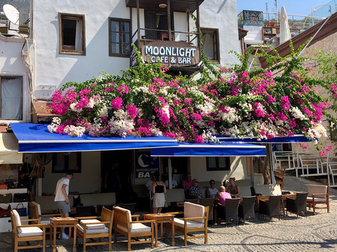 Moonlight Bar-卡尔坎必去景点