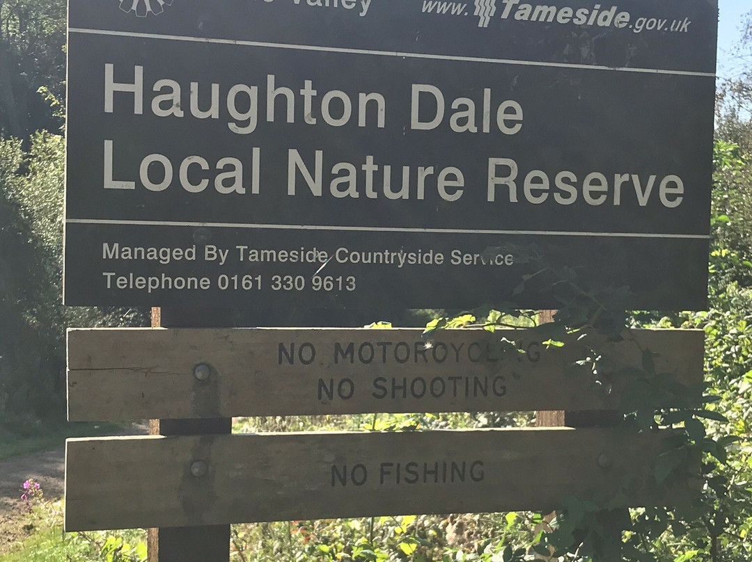 Haughton Dale Nature Reserve景点图片