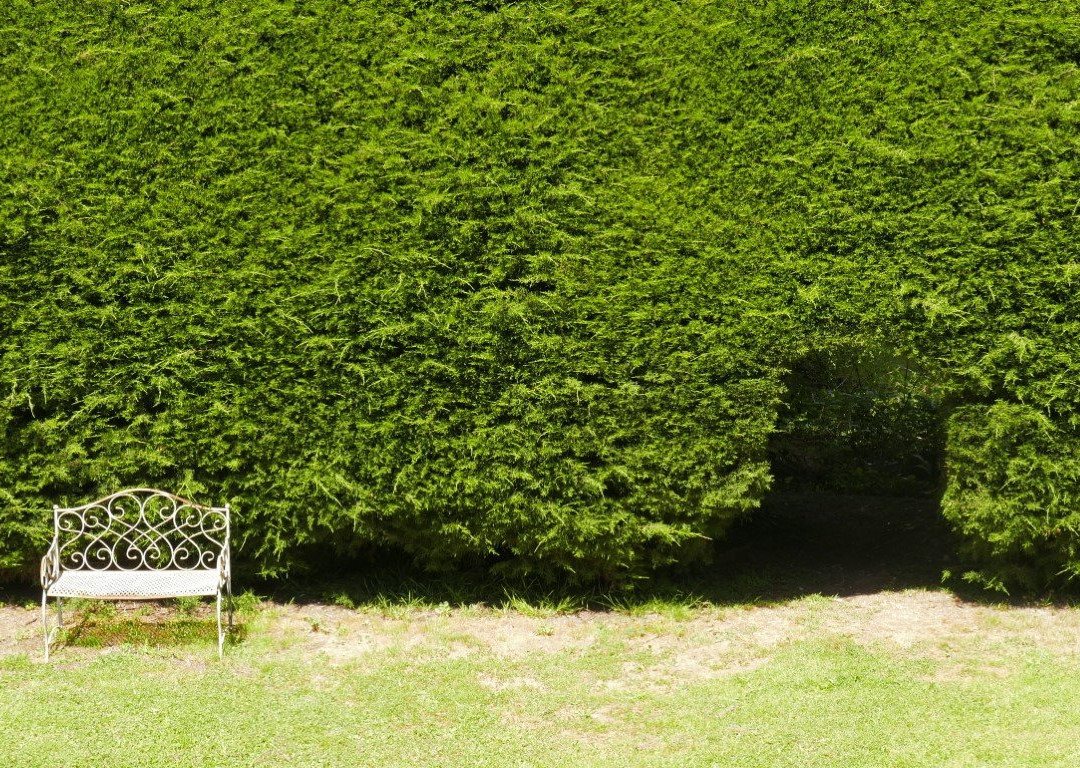 Continental House主图