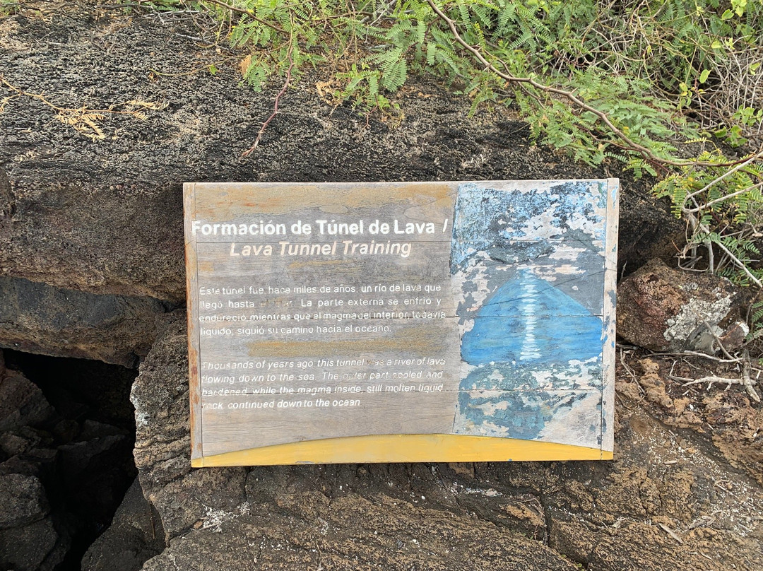 El Túnel del Estero-维里亚米尔港必去景点