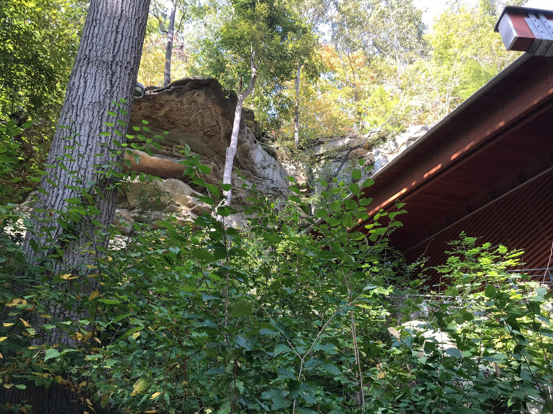Meadowcroft Rockshelter and Historic Village景点图片