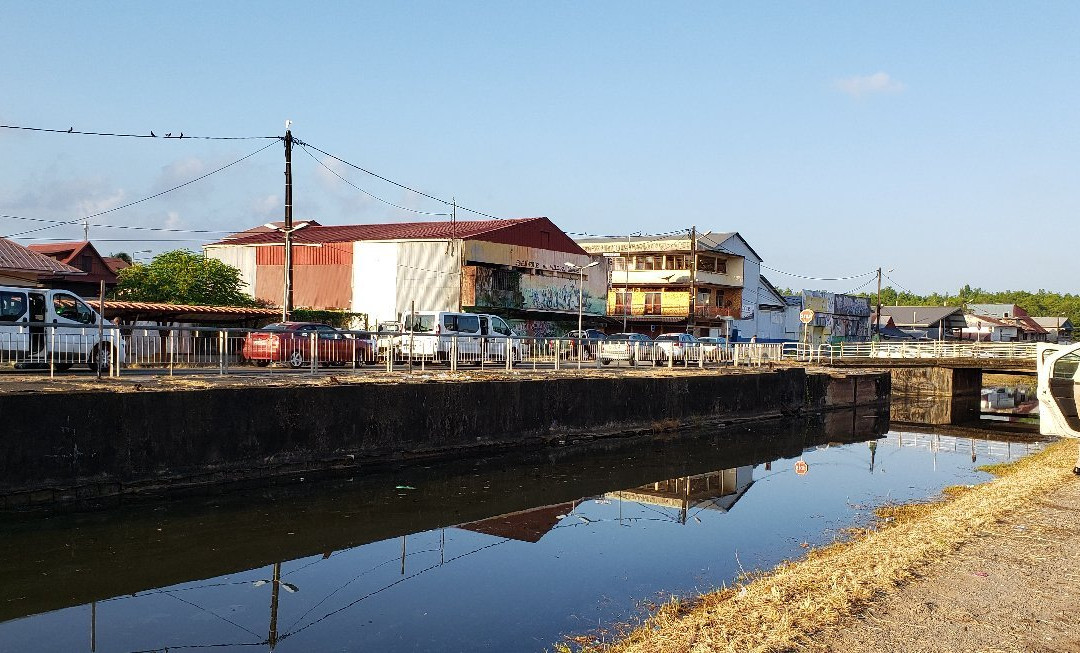 Village Chinois (Chinatown)-卡宴必去景点