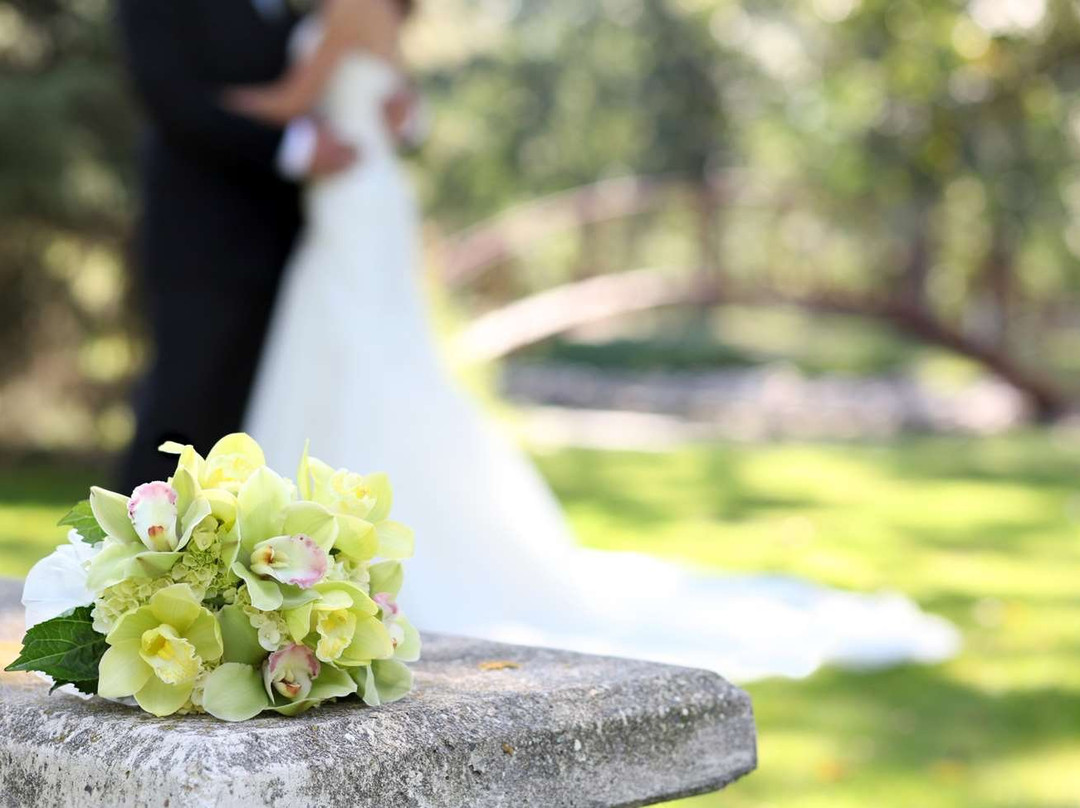 Country Inn & Suites by Radisson, Freeport, IL主图