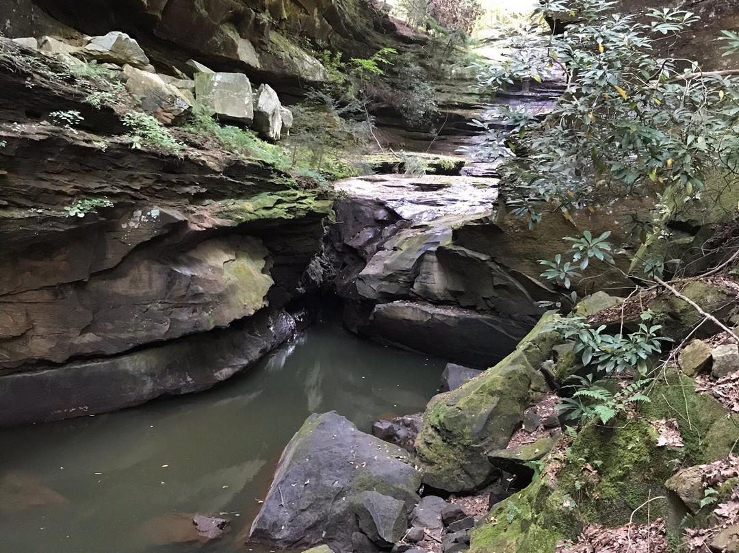 Grayson Lake-Olive Hill必去景点