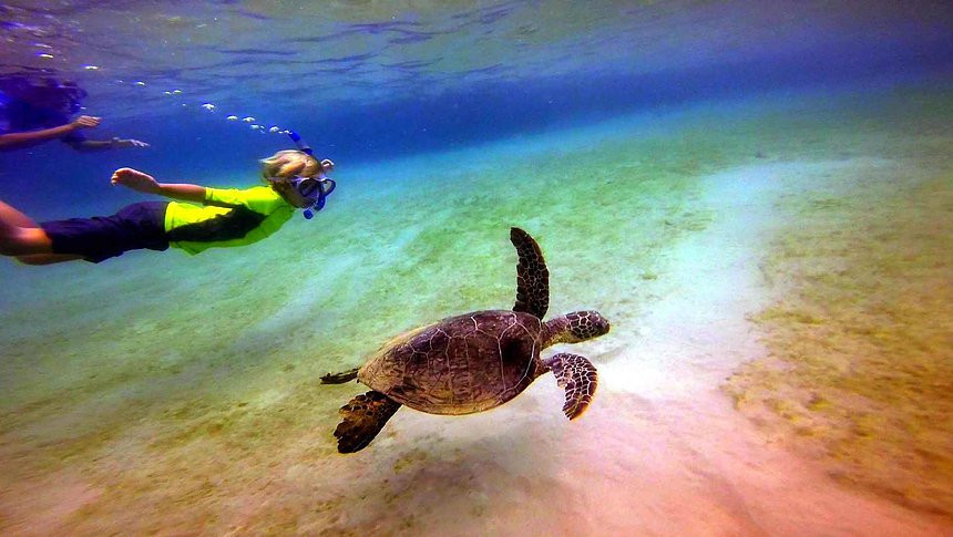 Puaʻena Point Beach Park-哈雷瓦必去景点