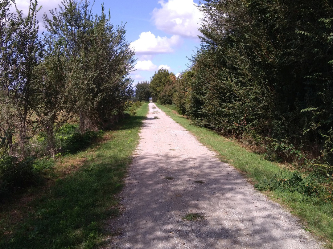 Il Sentiero della Bonifica-Civitella in Val di Chiana必去景点