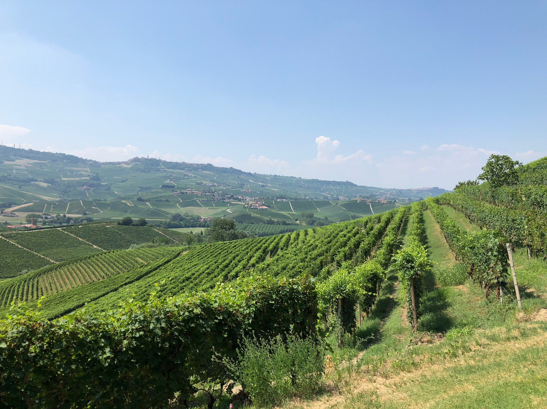 Tenuta Vitivinicola Cavallotto-Castiglione Falletto必去景点