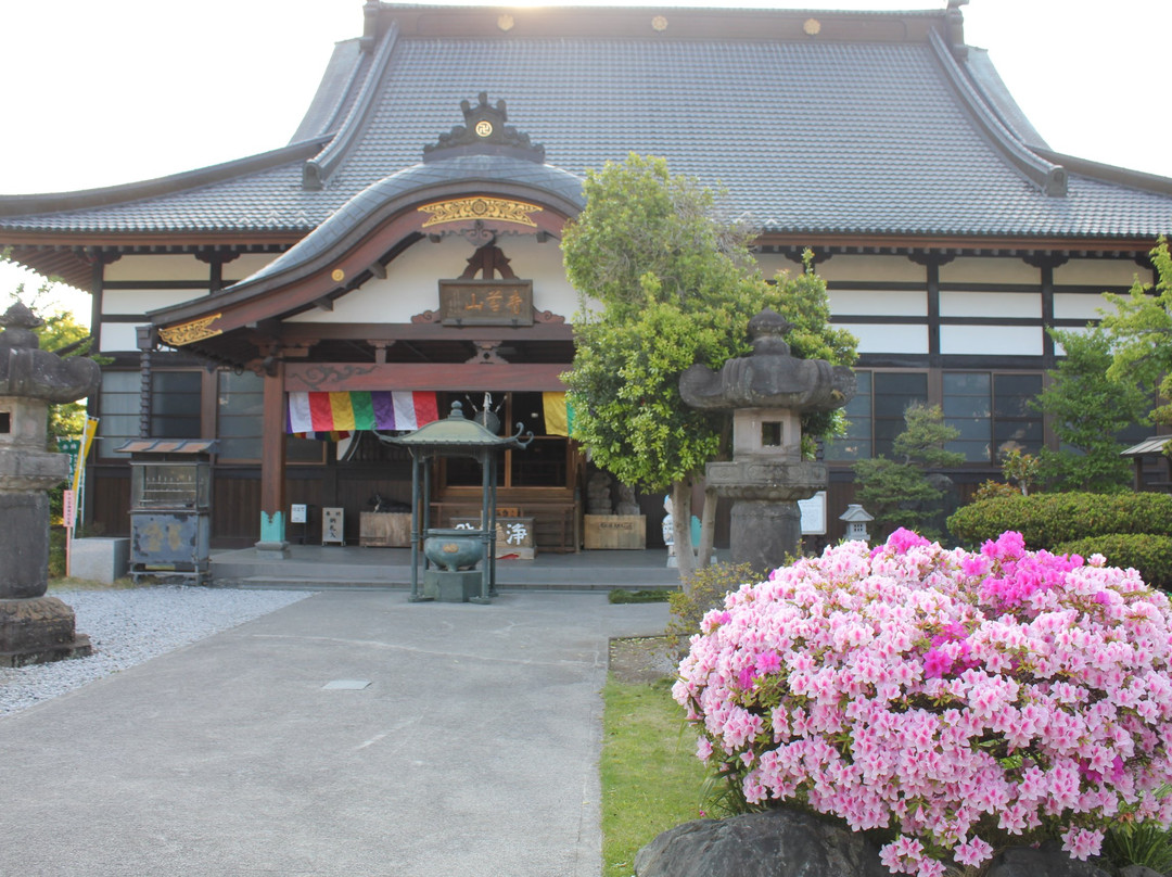Aogokeyama Hochoji Temple - Pilgrimage No. 7-横濑町必去景点