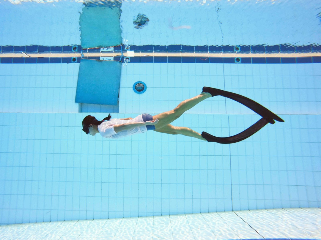 Singapore Freedivers-新加坡必去景点