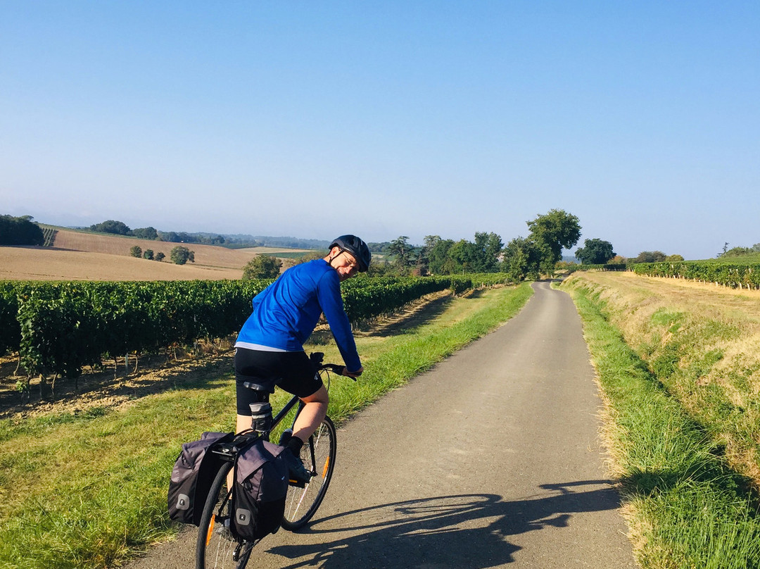 Gascogne Bike Hire景点图片