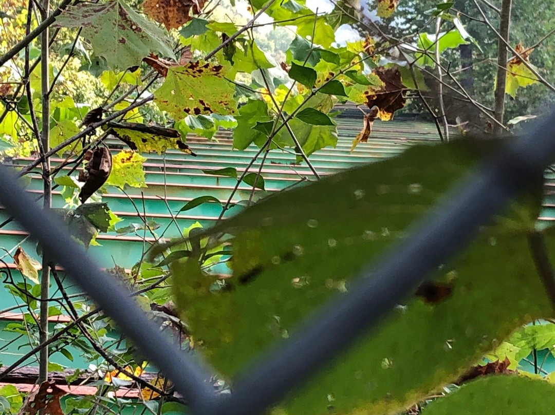 Route 66 State Park-Eureka必去景点