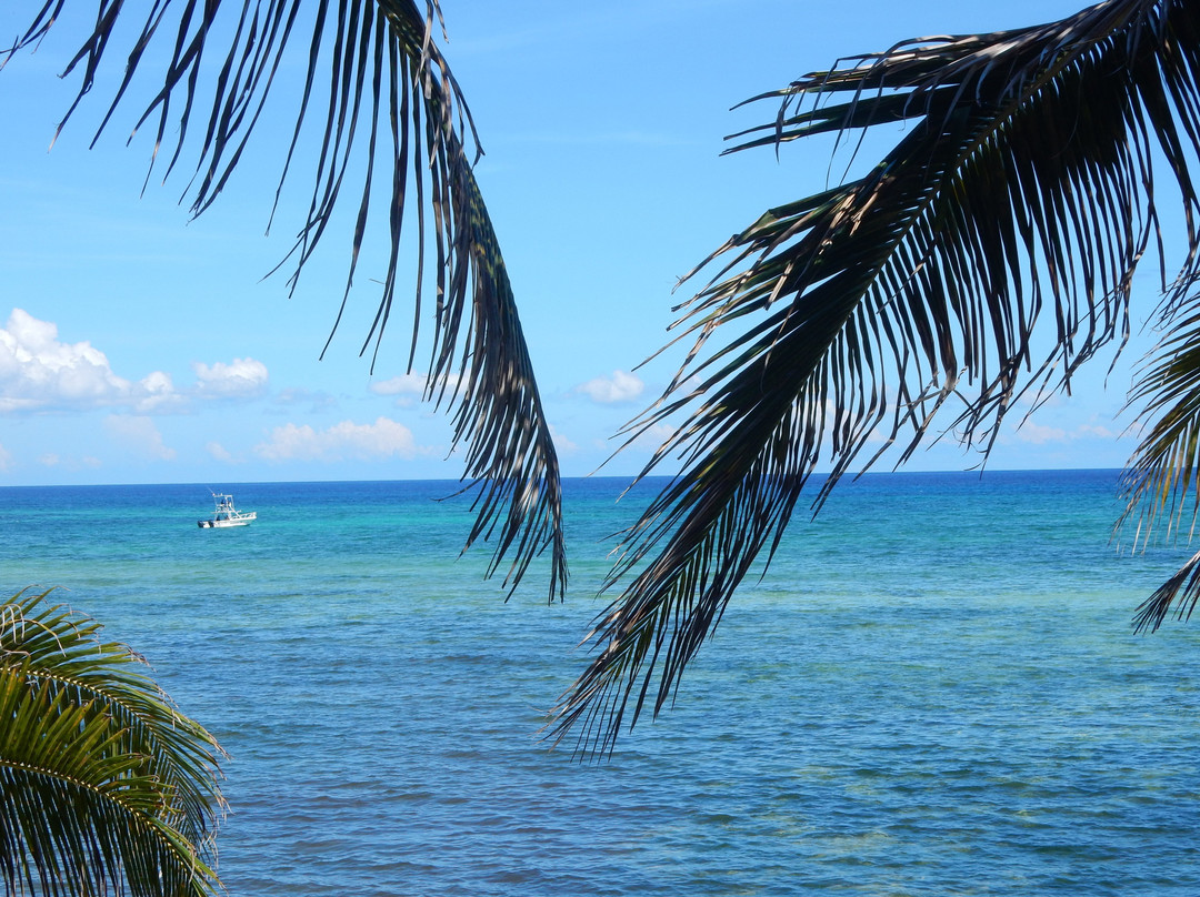 Del Sol Beachfront Properties主图