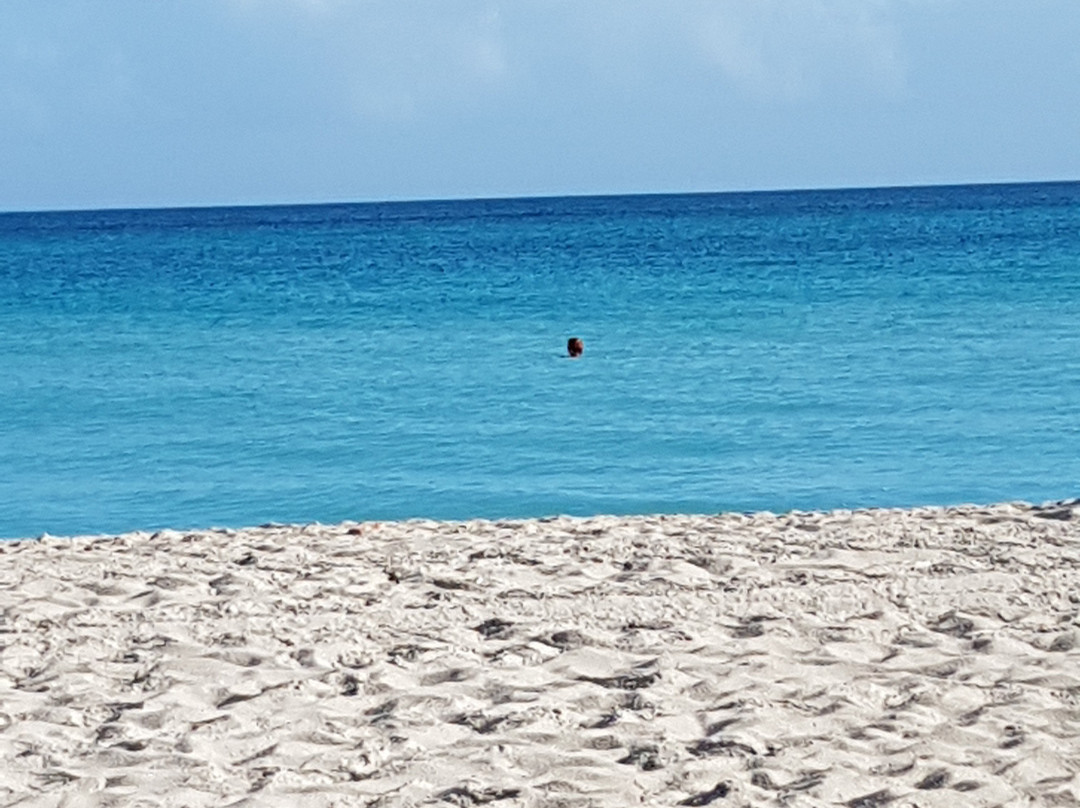 Varadero Yincia's House主图