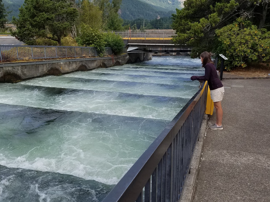 Bonneville Lock & Dam-Cascade Locks必去景点