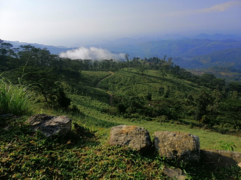 The Planters House主图