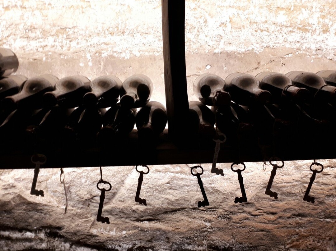 La Bodega del Tesoro景点图片