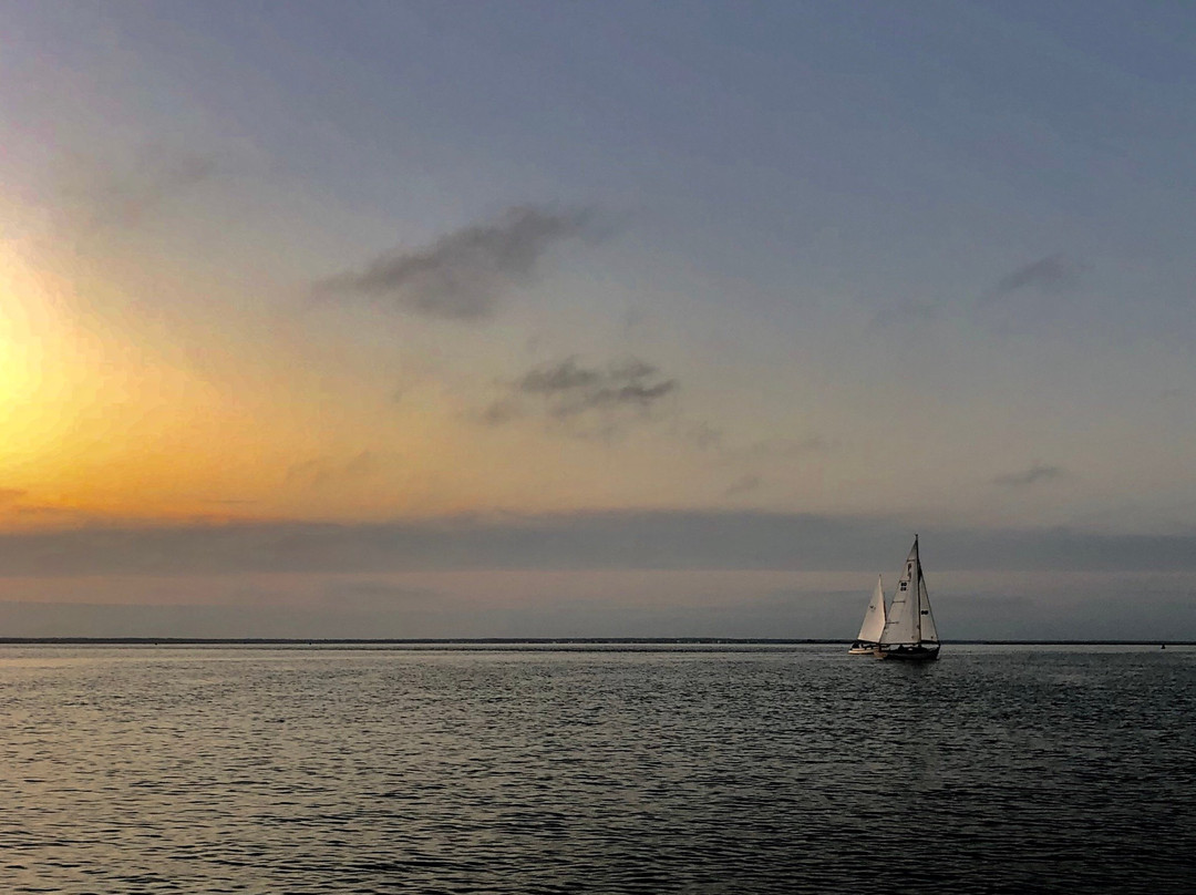 LBI Boat Tours景点图片