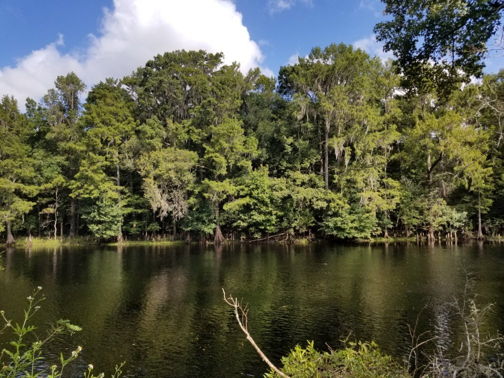 Poe Springs Park景点图片