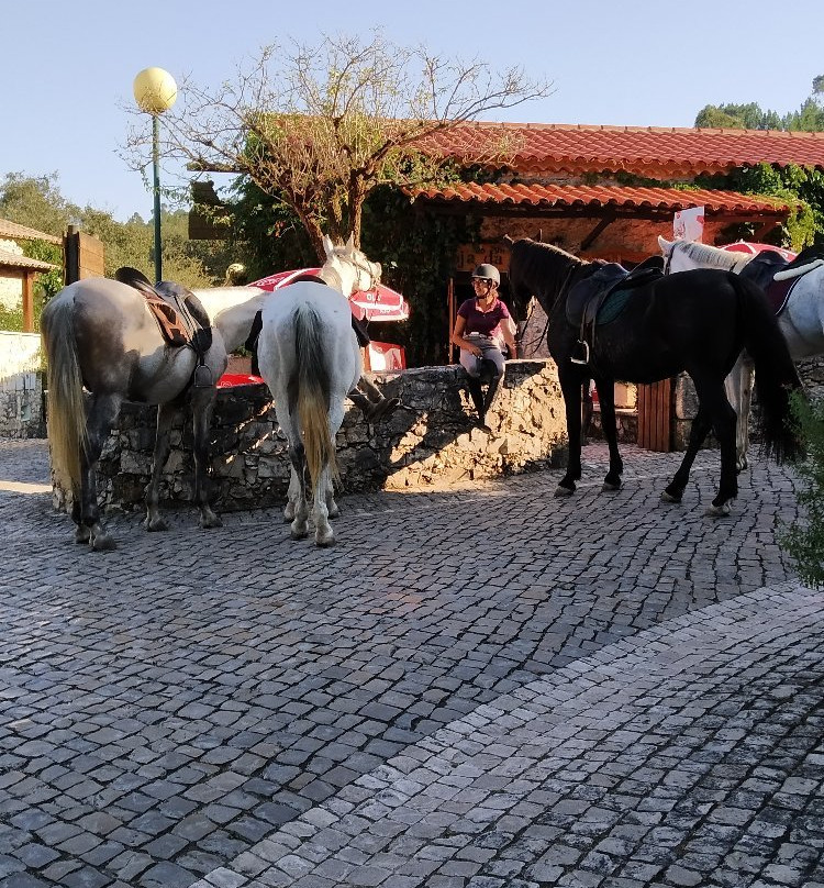 Centro Hípico de Alcaria景点图片