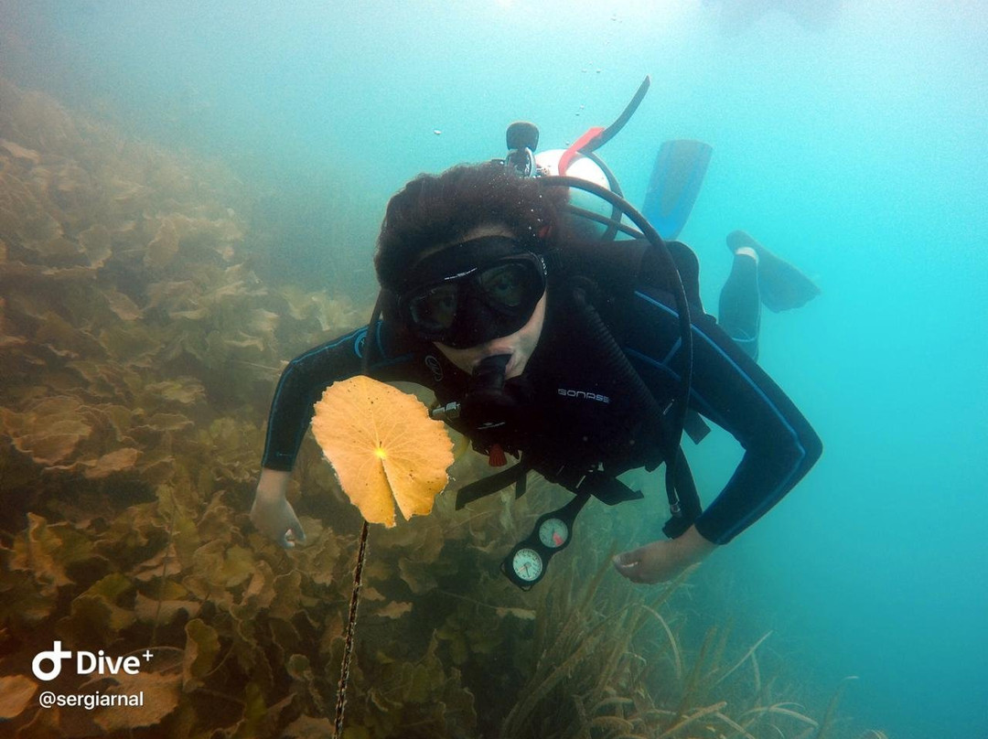 Chetumal Dive Club-切图马尔必去景点