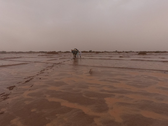 Camel Trek Morocco-迈哈米德必去景点