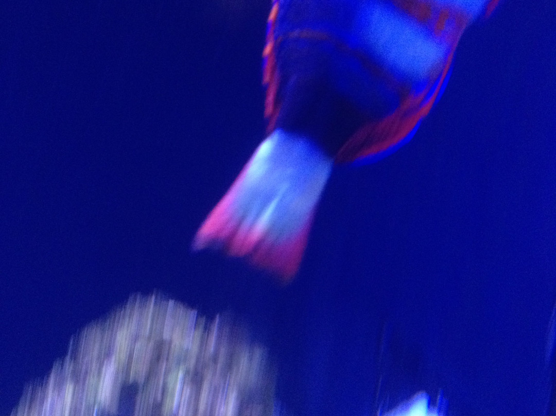 Aqua Broome-布鲁姆必去景点