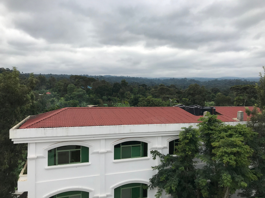 Kilimanjaro Mountain Resort主图