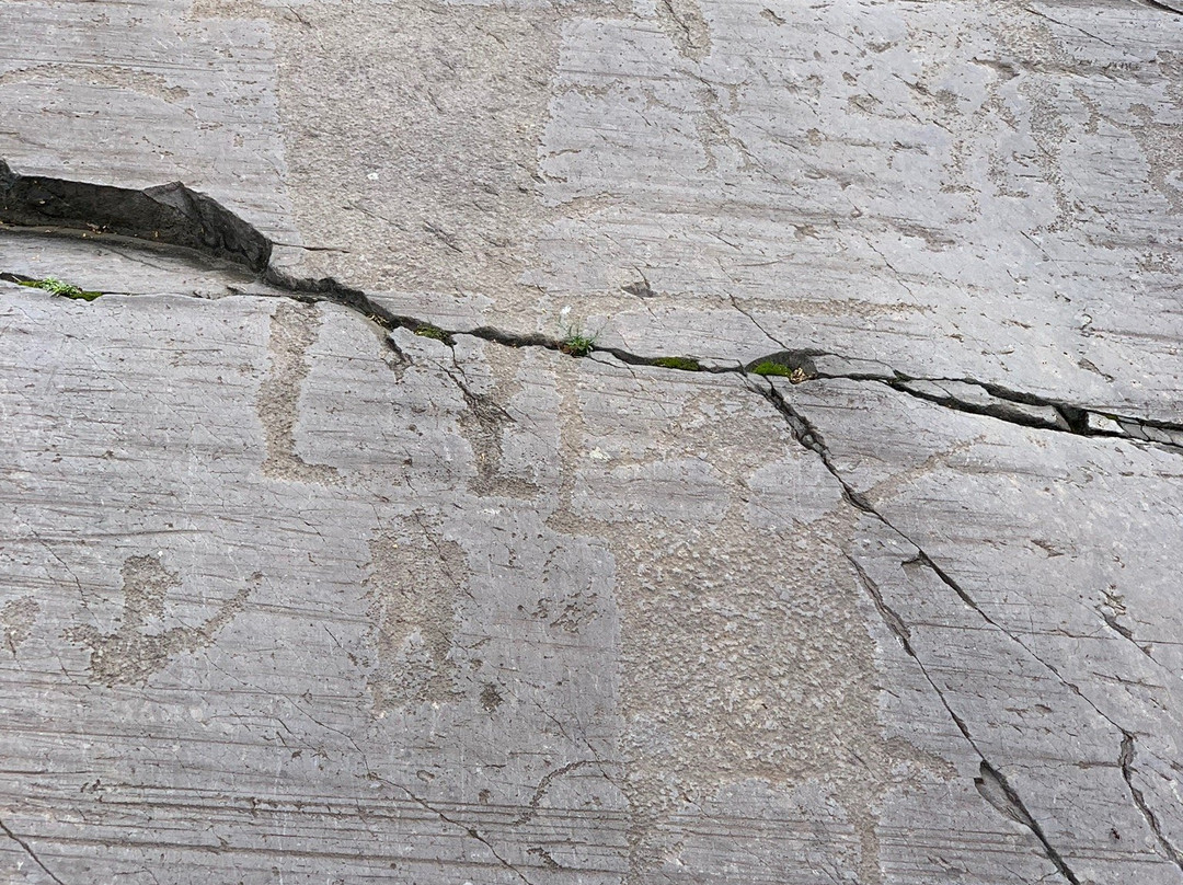 Riserva Naturale Incisioni Rupestri di Ceto Cimbergo e Paspardo景点图片