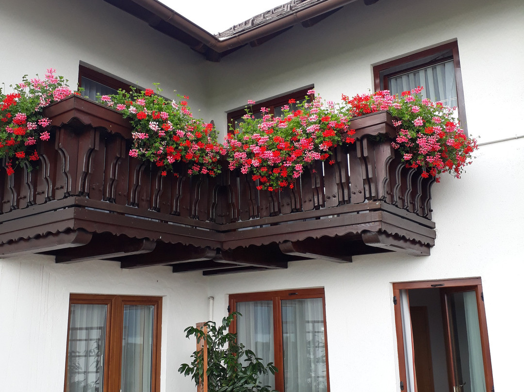 Hotel Alpenblick主图
