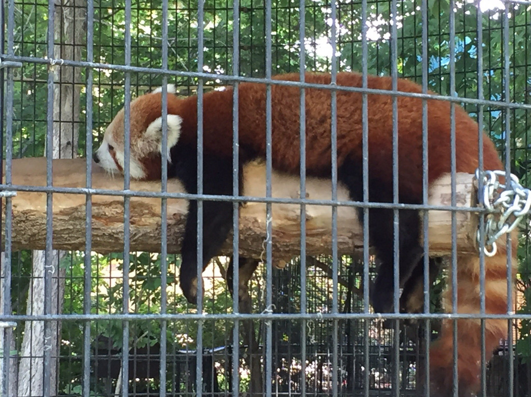 Pueblo Zoo-普韦布洛必去景点