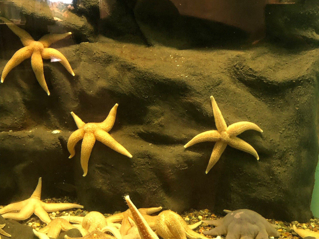 New Brunswick Aquarium and Marine Centre-Shippagan必去景点