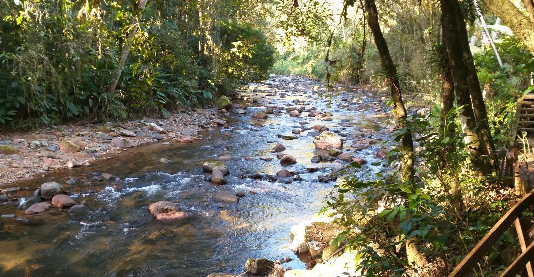 Parque Natural das Aves景点图片