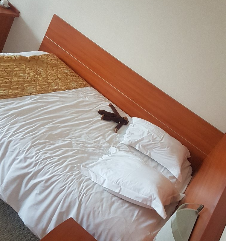 Hotel Cigoland主图